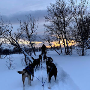 Meet your Posher, Roberto
